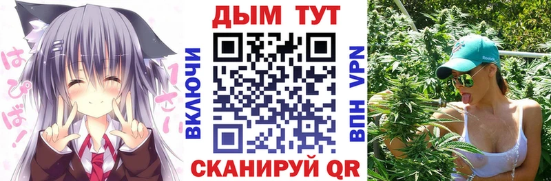 Бошки Шишки семена Енисейск